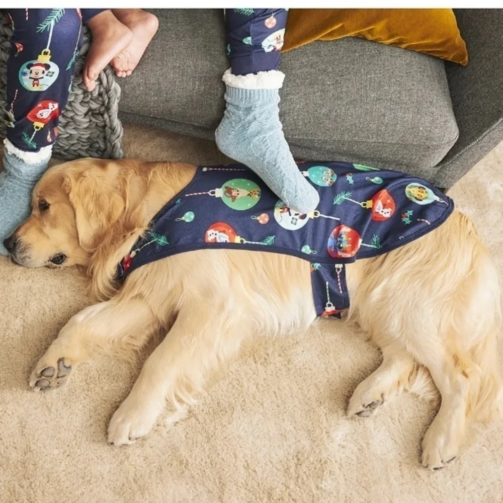 Disney Pet Dog Blue Christmas Pajama Style Cape
